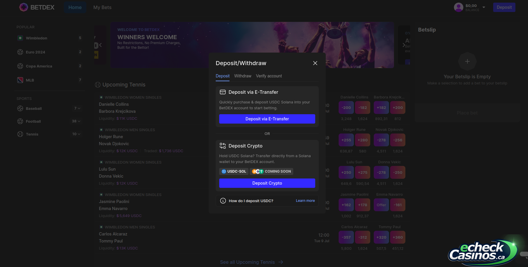 Betdex deposit interface